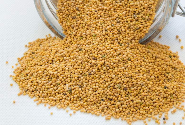 Capelli di lavanda e olio per la pelle