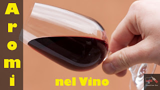 aromi del vino tutorial 