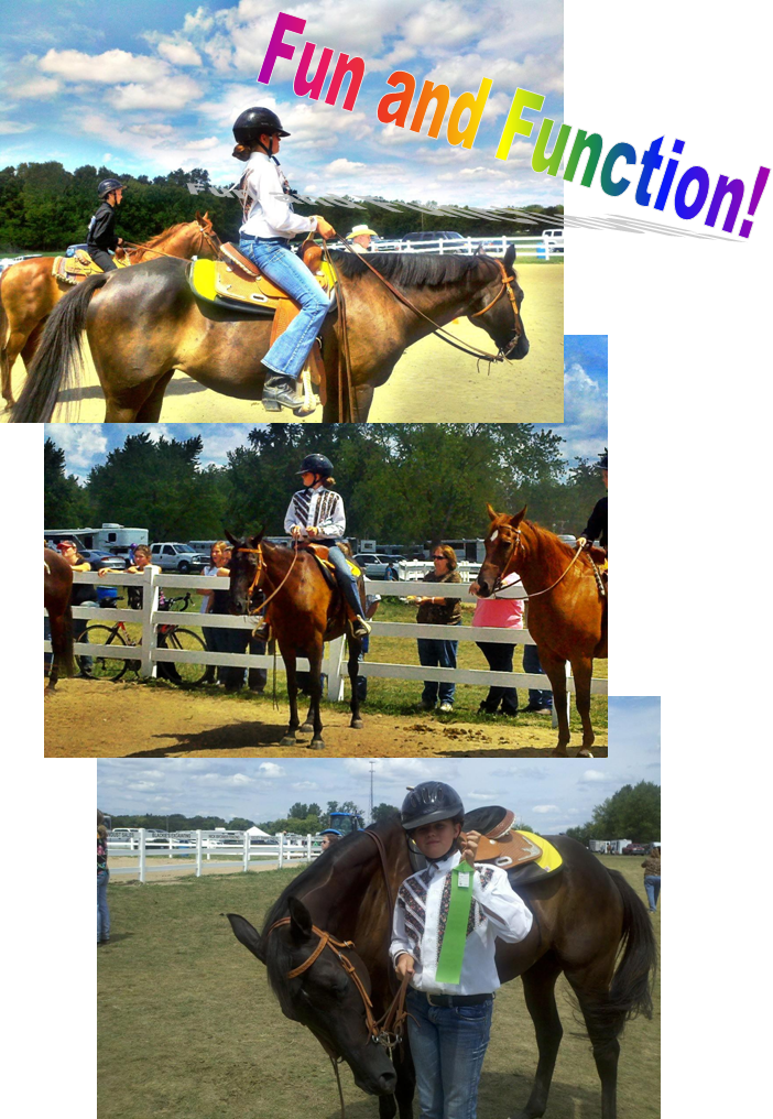 St.Leonard: Team Stewart: Miami Co Fair!