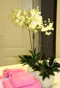 Orquidea decoracion