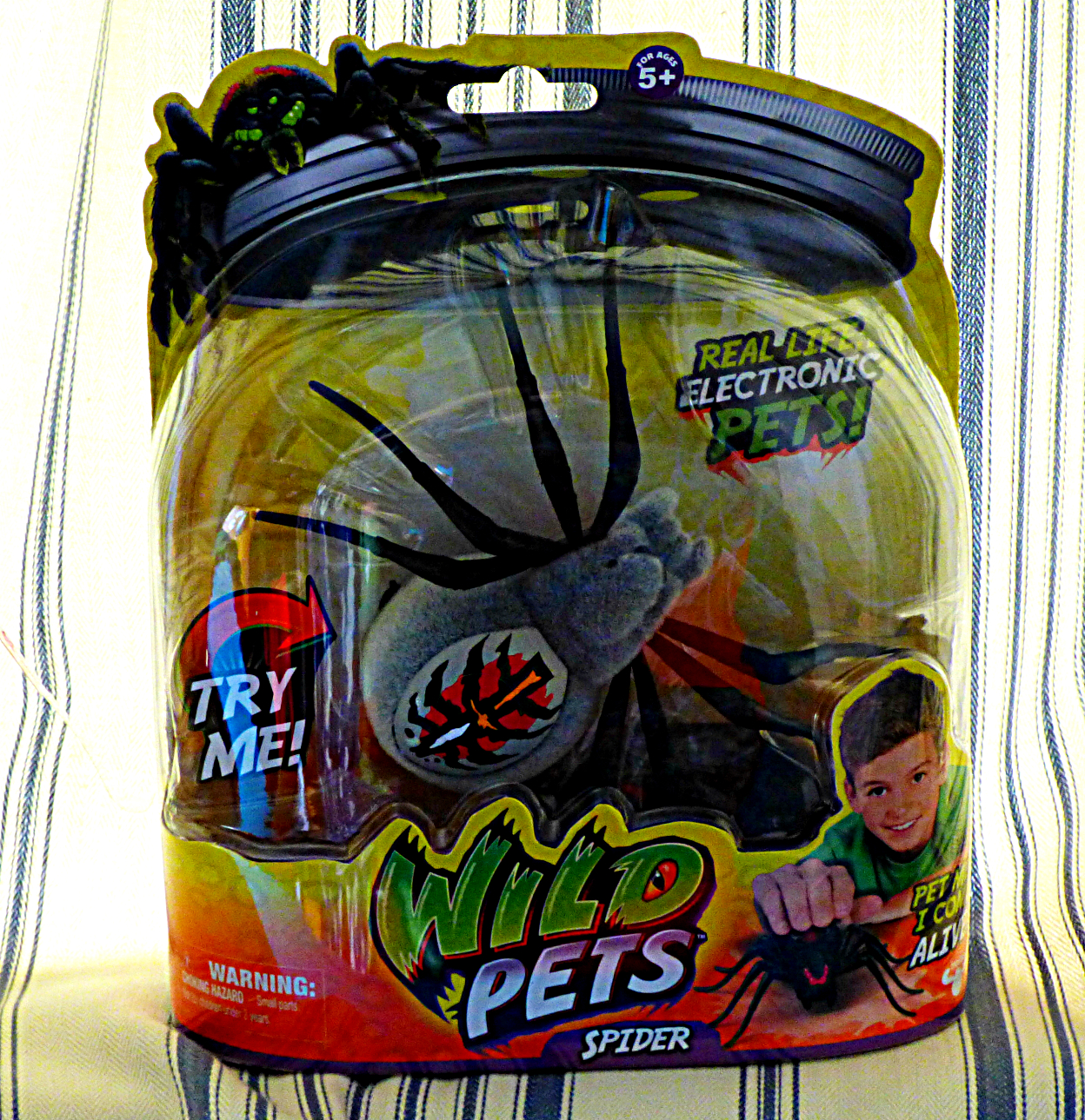 Chez Maximka Wild Pets Spider
