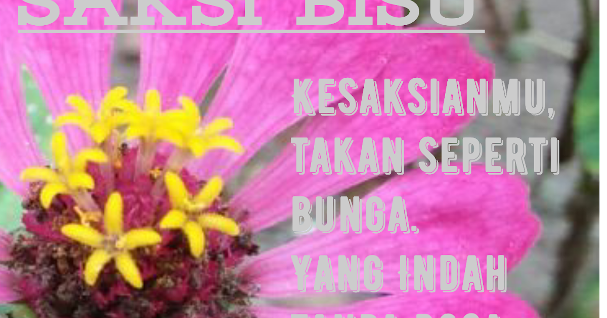 Kata kata