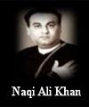 http://www.humaliwalayazadar.com/2016/09/naqi-ali-khan-soz-salam.html