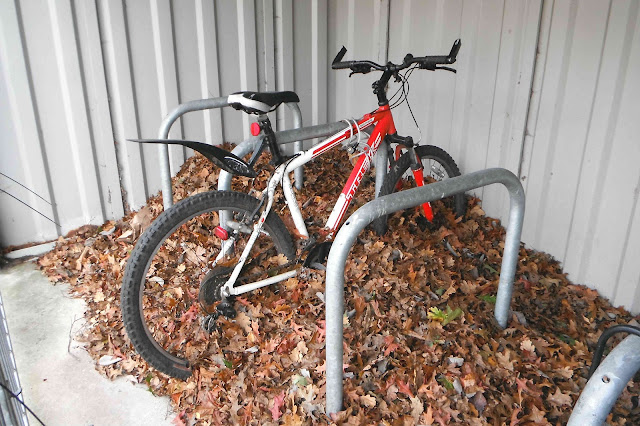 Bicycle under leaves in bike-shed