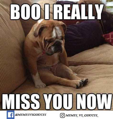Best Miss you meme Miss you now