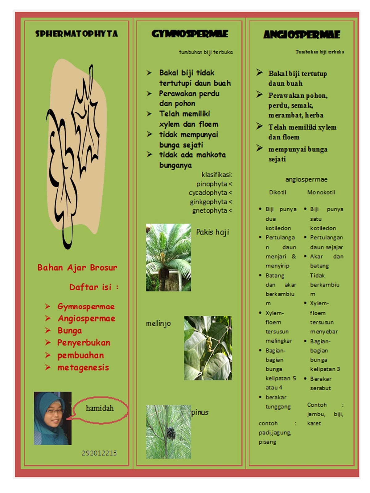 Contoh Bahan Ajar Leaflet Tahun Ajar