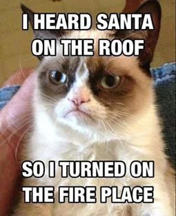 grumpy cat christmas memes grumpy cat christmas memes