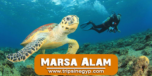 Marsa Alam - The Best Resorts in The Red Sea - www.tripsinegypt.com