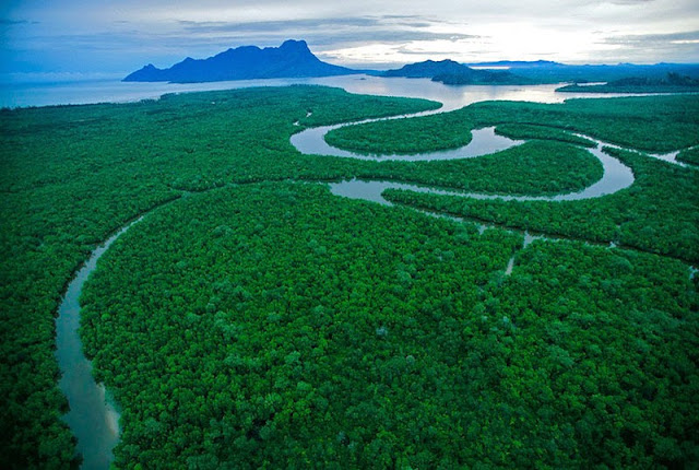 Borneo landscape