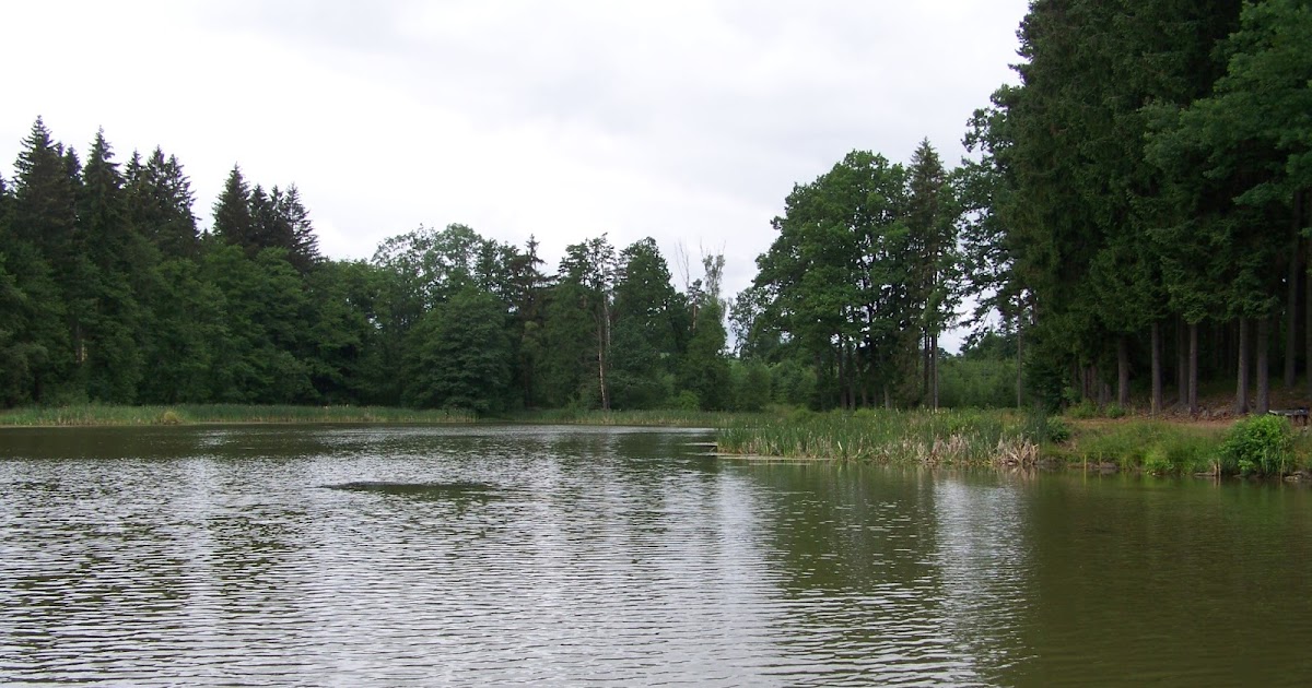 LEBENSTAGE/WALDVIERTELTAGE TRÜBER TEICH