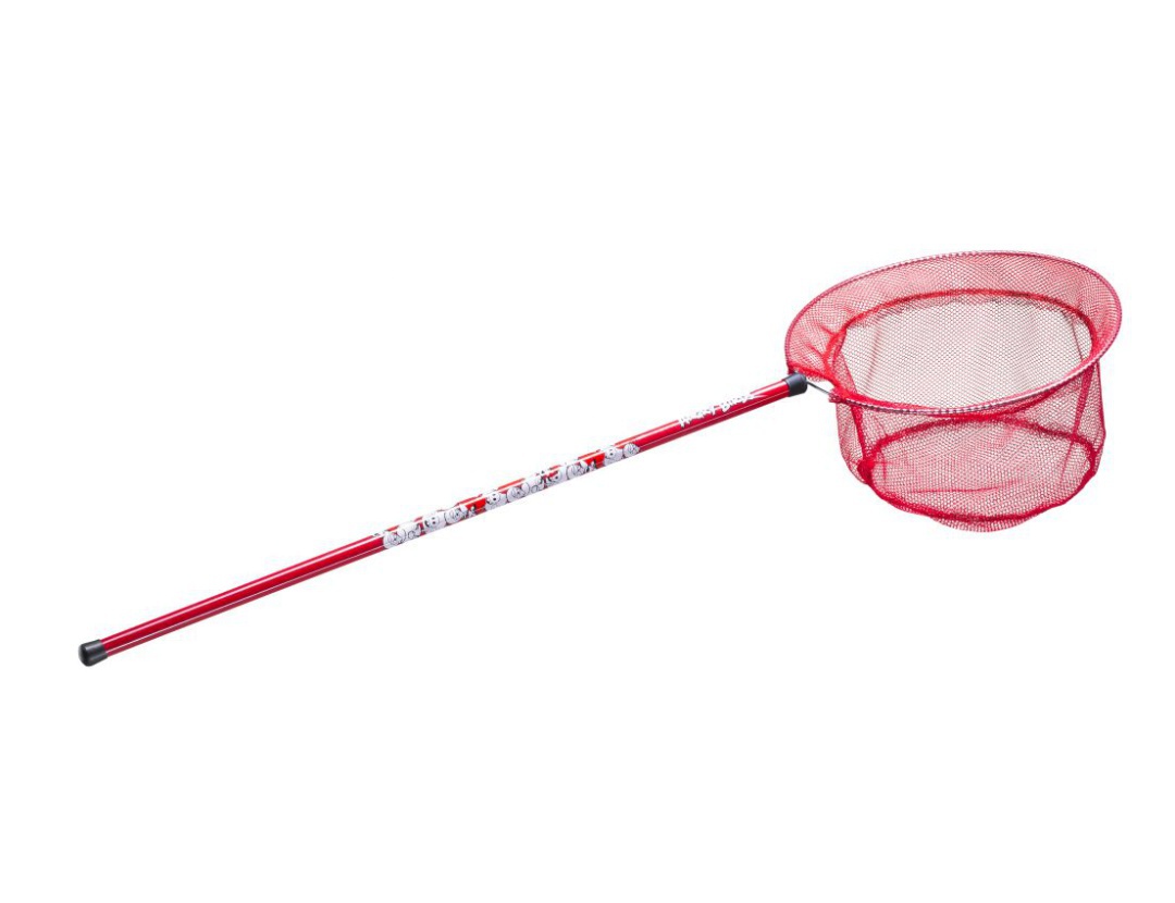 Bird In Everything Bird Catching Nets