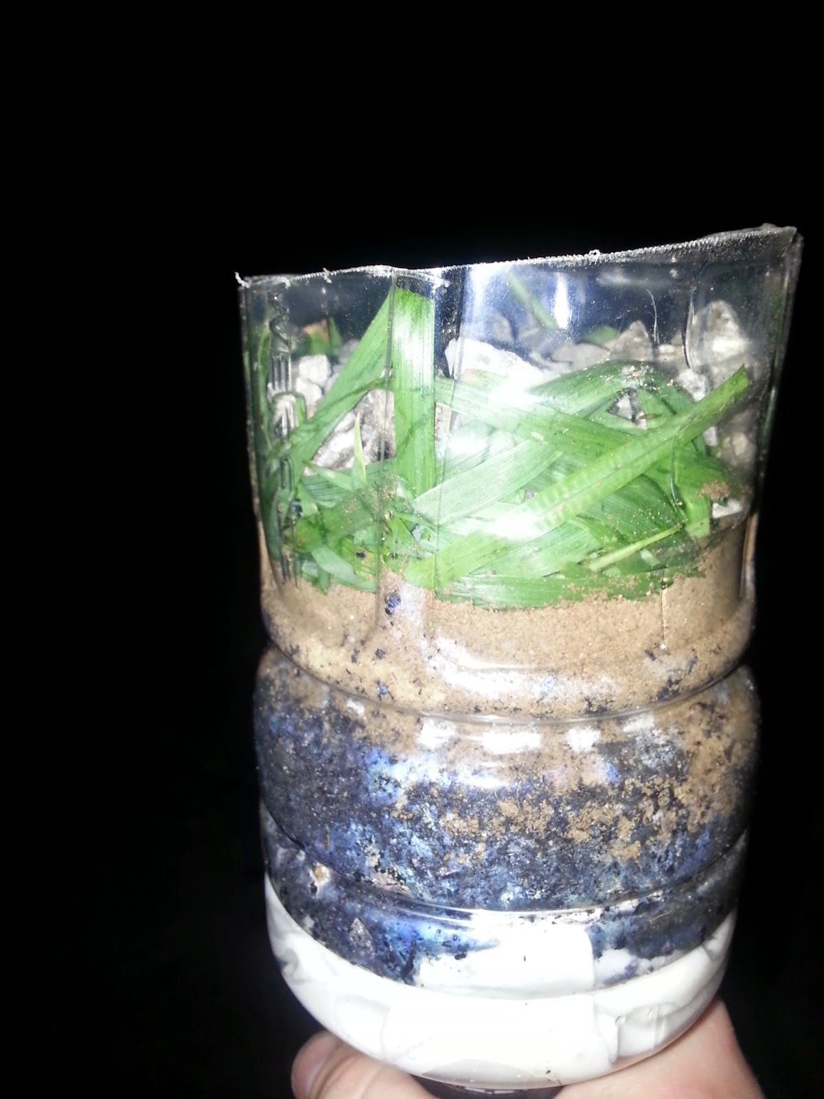 The 7 P's Blog DIY Plastic Bottle Water Filter