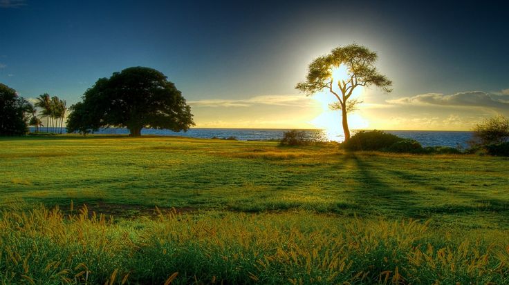 Nature Landscape Photography Nature Landscape Photography
