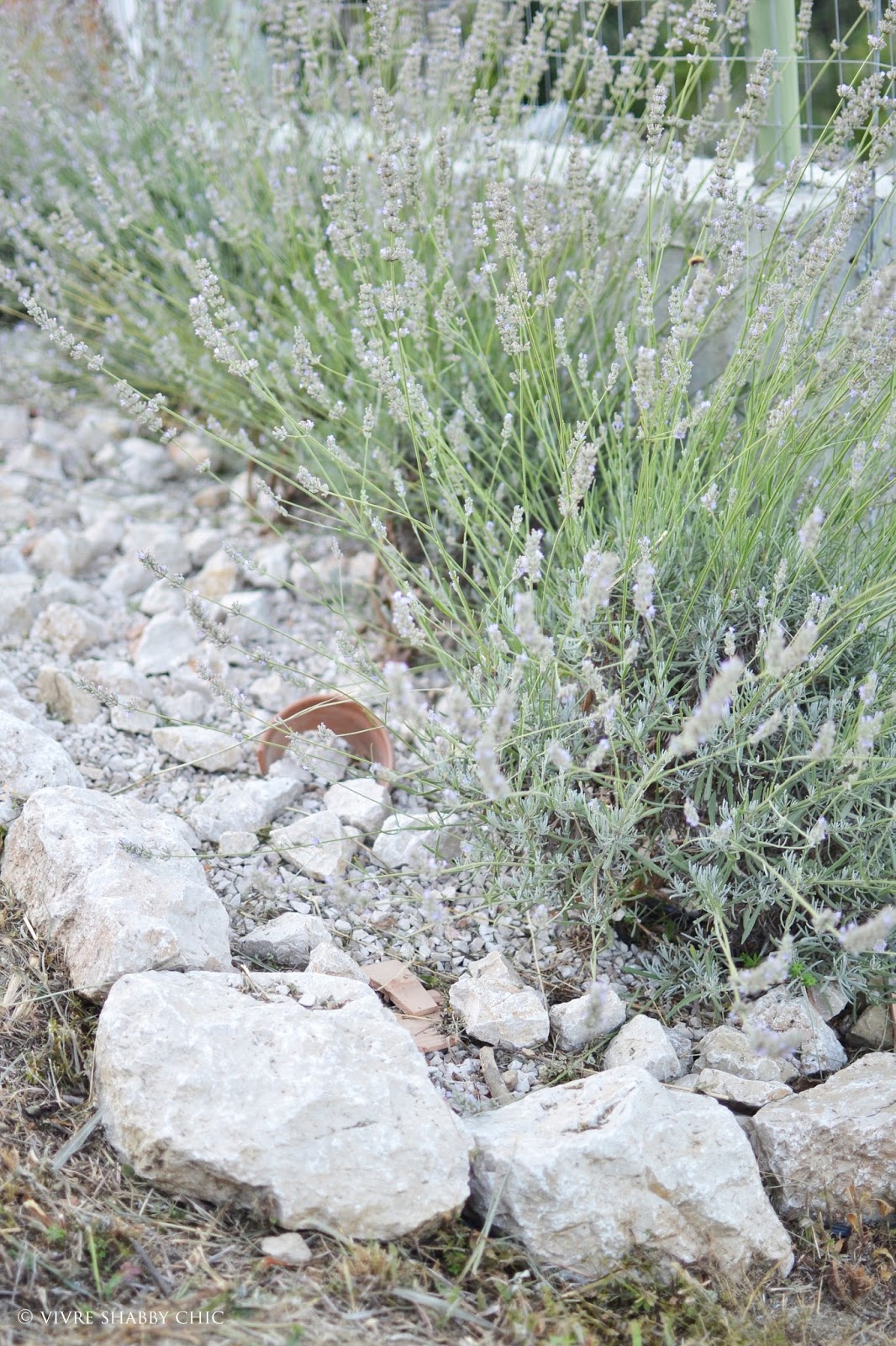 Vivre shabby chic: giardino: realizzare unaiuola, suggerimenti e ... Creare un aiuola