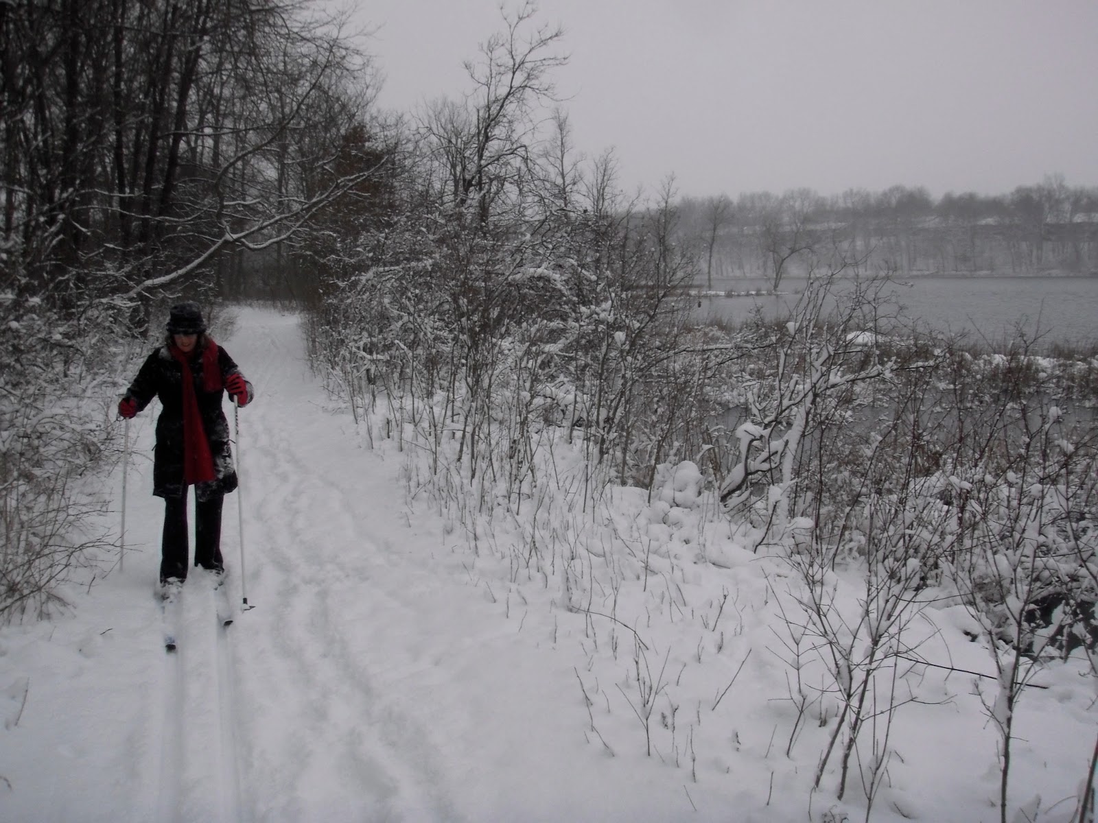Kalamazoo Seasons Ski Asylum Lake