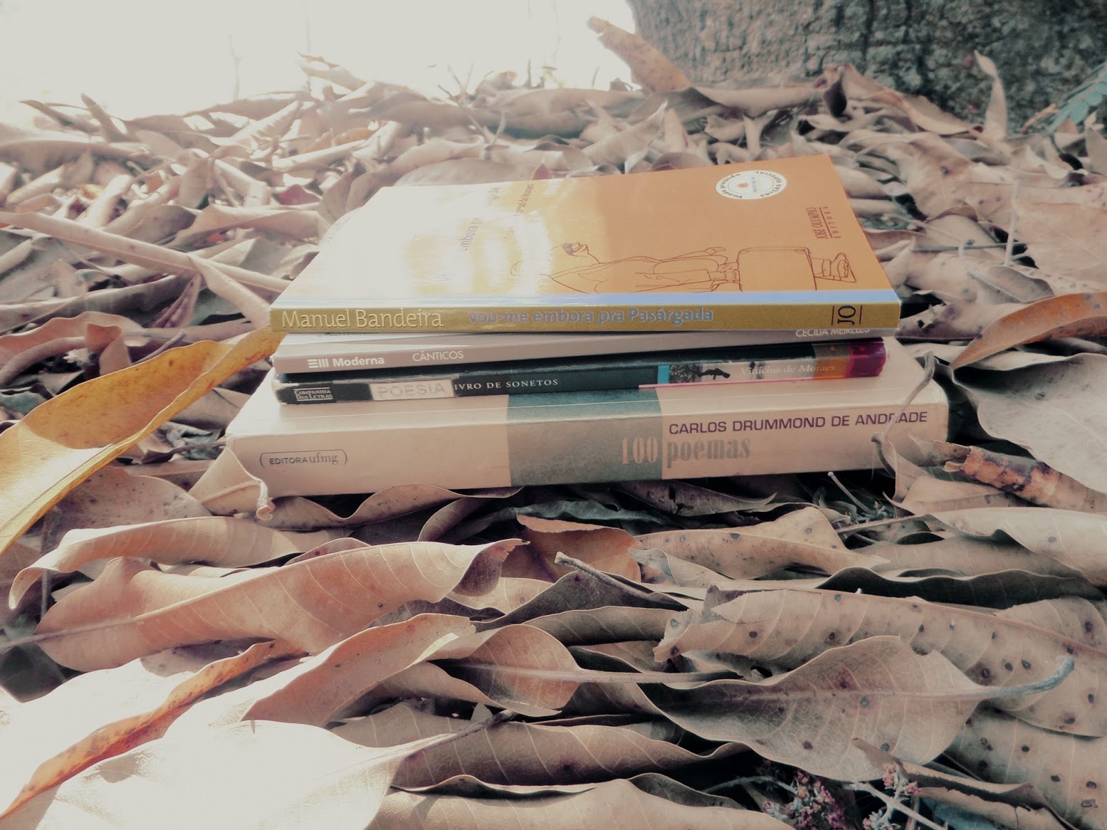 Livros de Poesia carlosdrummond, manuelbandeira, ceciliameireles, viniciusdemoraes