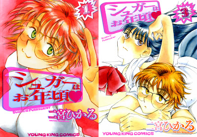 Suger wa Otoshigoro (シュガーはお年頃) - 3 Volume Complete