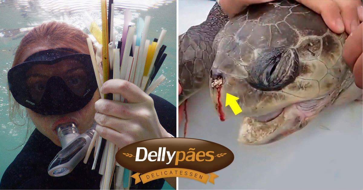DellyPães vai deixar de entregar canudos de plástico aos clientes; tudo pelo Meio Ambiente
