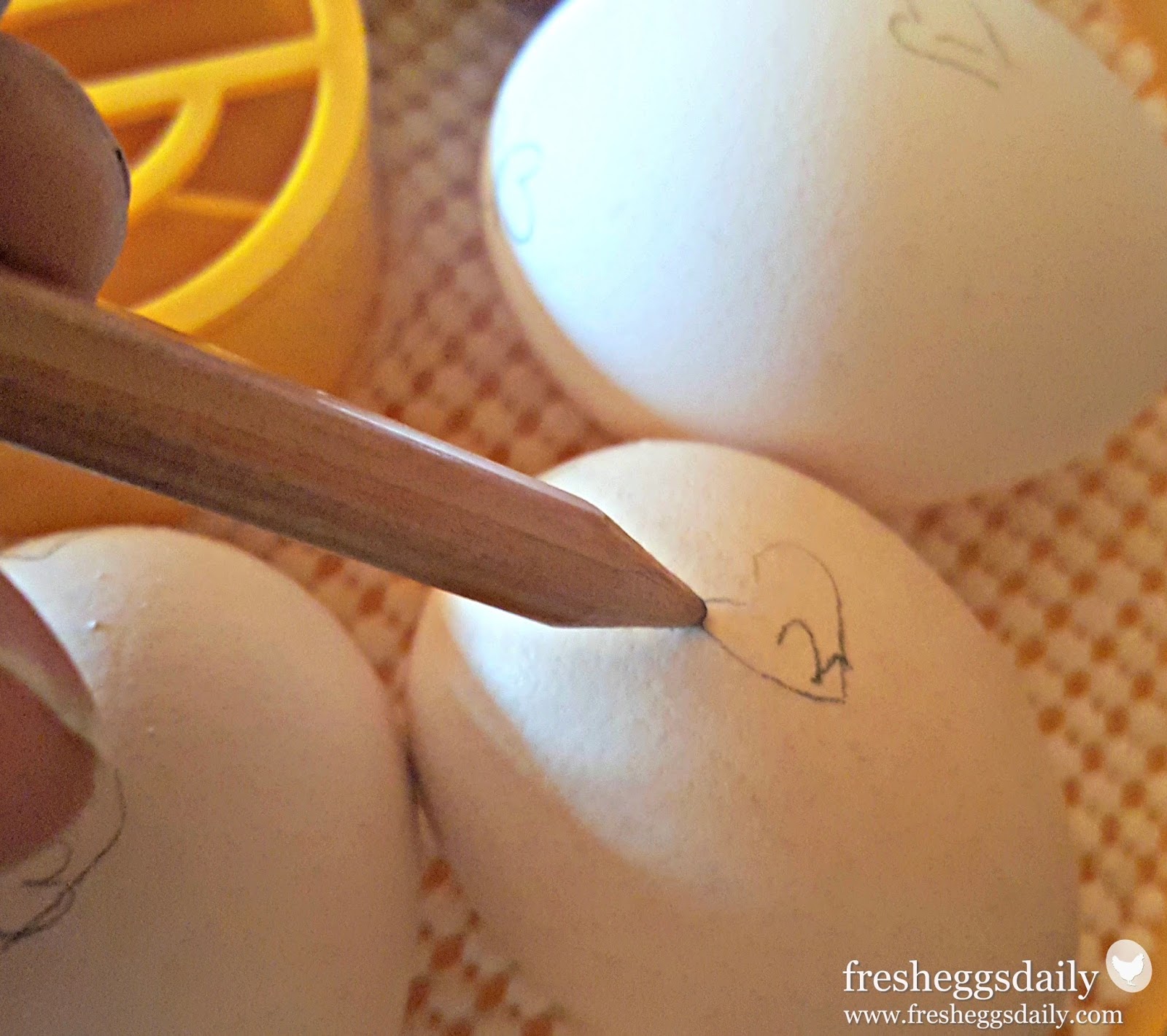 How Often Should I Turn my Hatching Eggs? Fresh Eggs Daily® with Lisa
