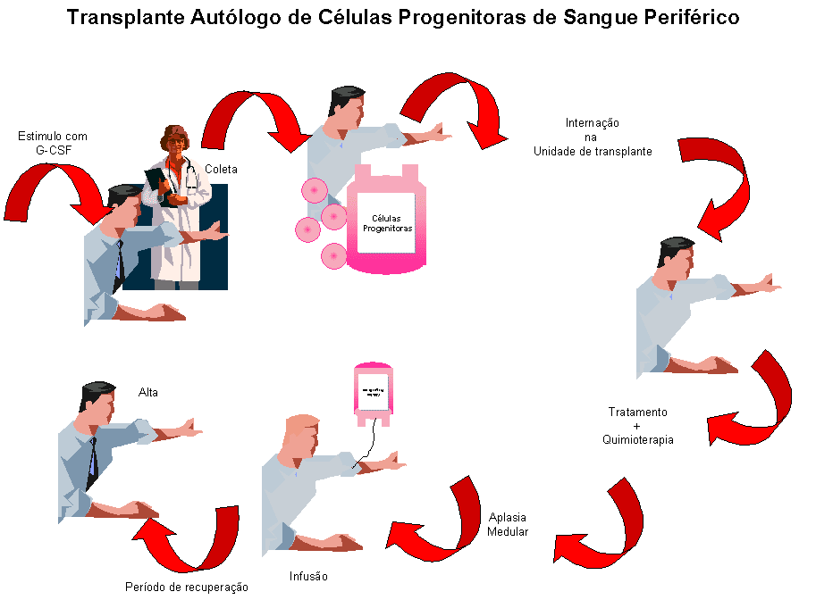Células-tronco | PIBID BIOLOGIA UEPG