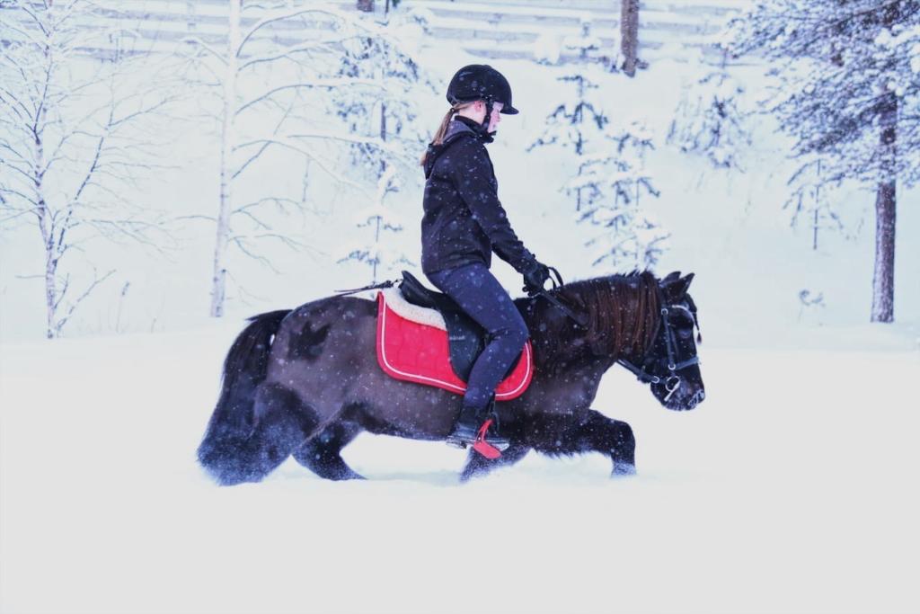 paras romanttinen porno elokuvaa