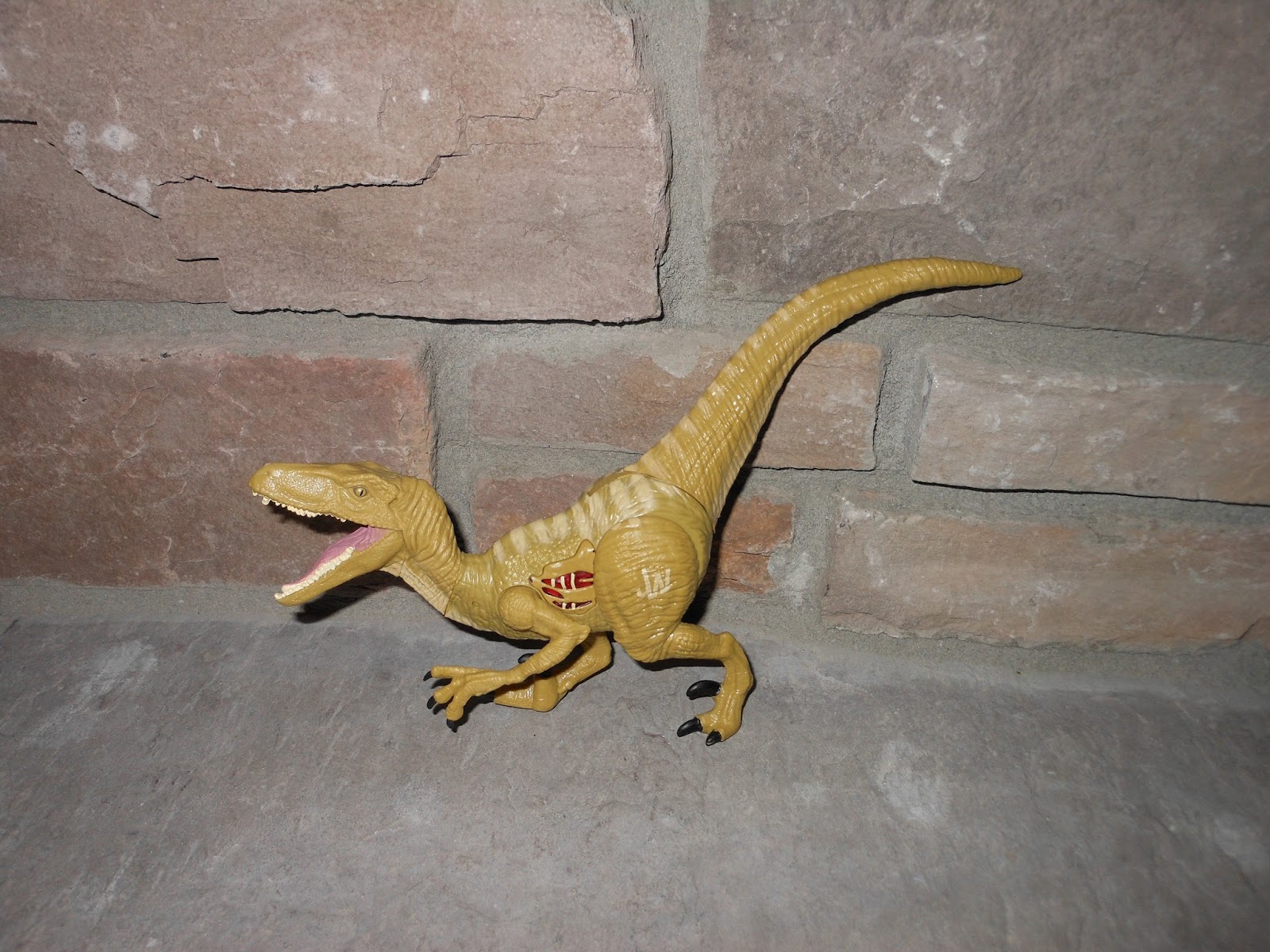 echo the velociraptor