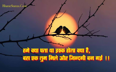 Ishq Kya Hota hain Cute Love Status Cute Love Status in Hindi