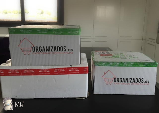 Organizados.es