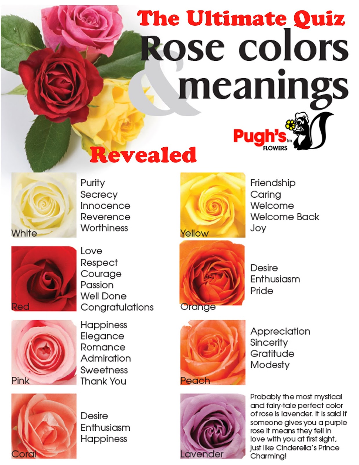 Wedding Flowers Colours Meanings And Their Leigh Wedding Flowers Colours Meanings Diffe Color Roses And Their Meaning Galleryhip