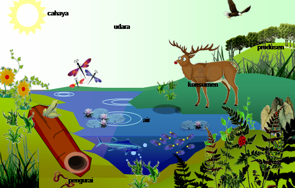 Cabang - Cabang Ilmu Biologi - WayanBio
