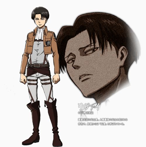 levi pendek dan berumur 30 tahun