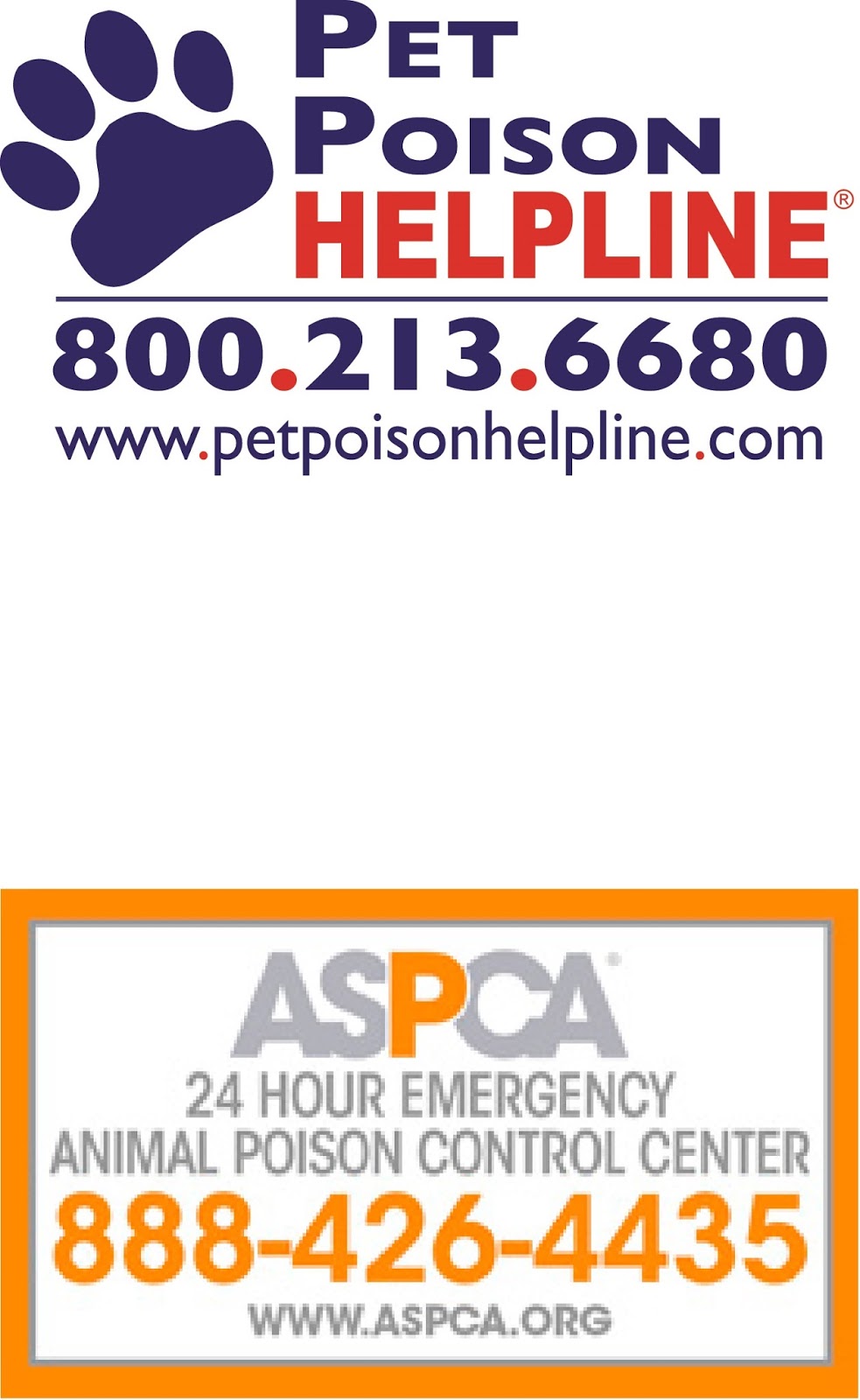 DIY First Aid Kit for Your Pet