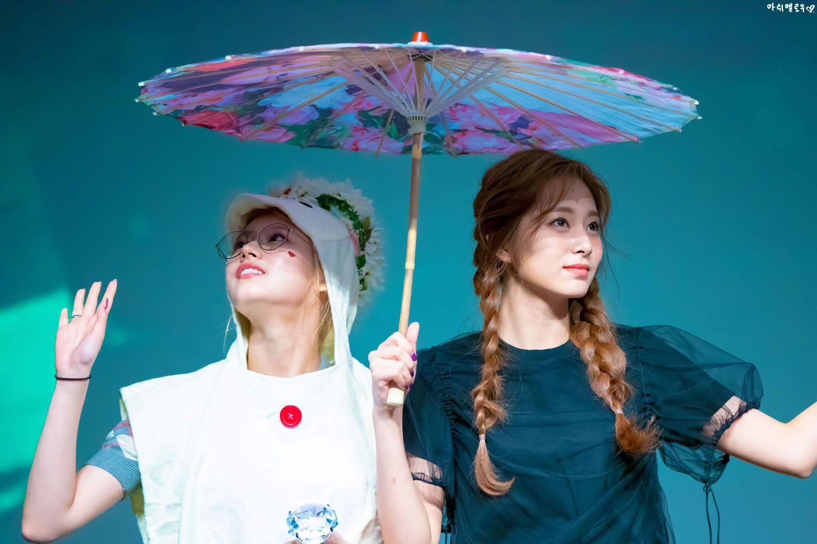 Tzuyu And Sana The Most Adorable Girls Ever Seen Sexy K Pop