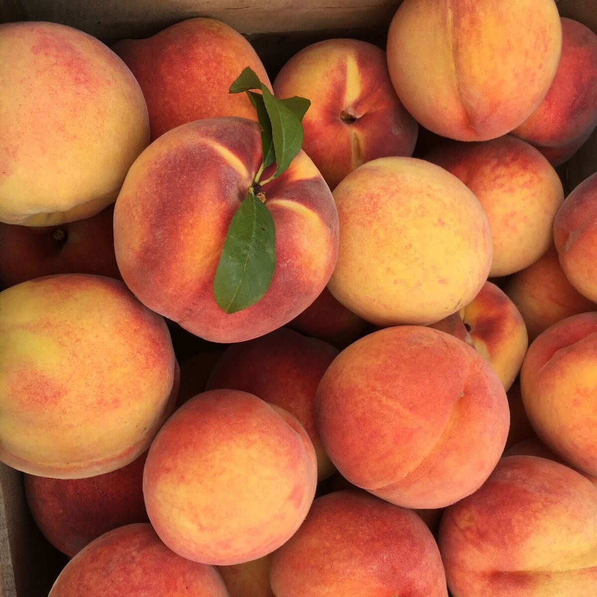 Summer Peaches / Eat Smart, Be Fit Maryland!