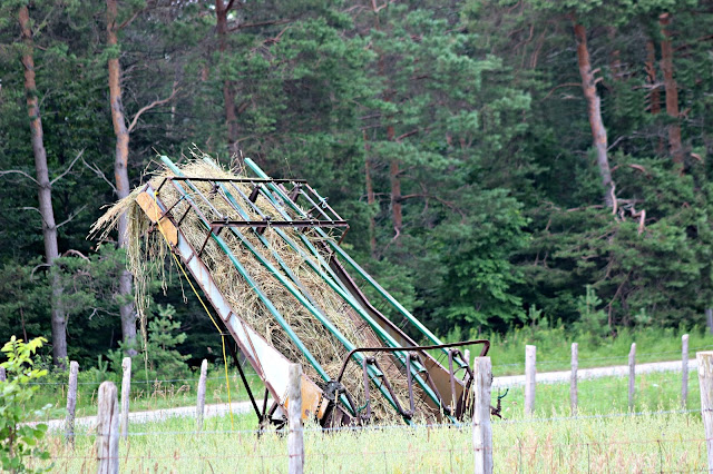 Horse drawn hay loader