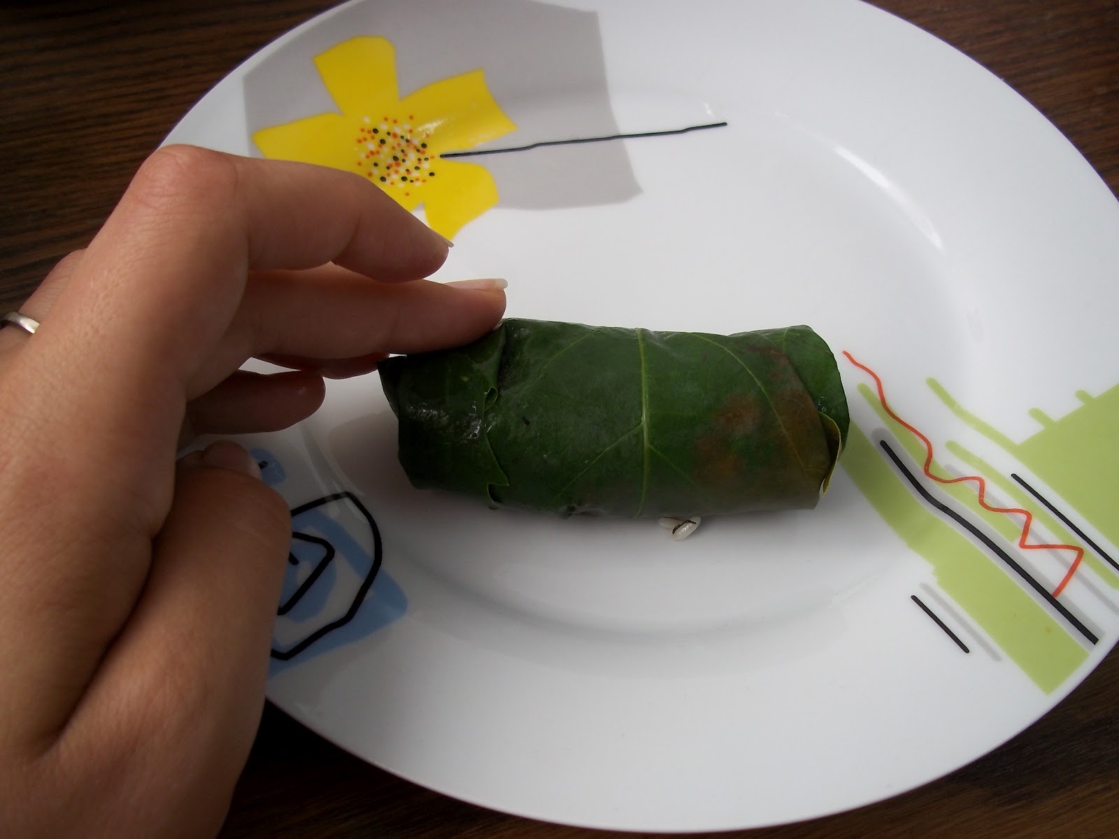 Armenian Stuffed Grape Leaves Recipe Frugal, Vegan Foraged Food