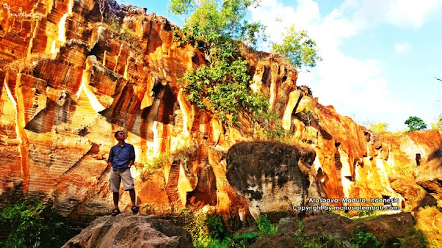 Bukit Kapur Arosbaya