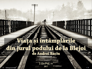 https://editura.liternet.ro/carte/347/Andrei-Baciu/Viata-si-intamplarile-din-jurul-podului-de-la-Blejoi.html