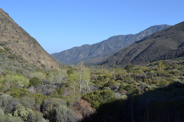 looking down the canyon