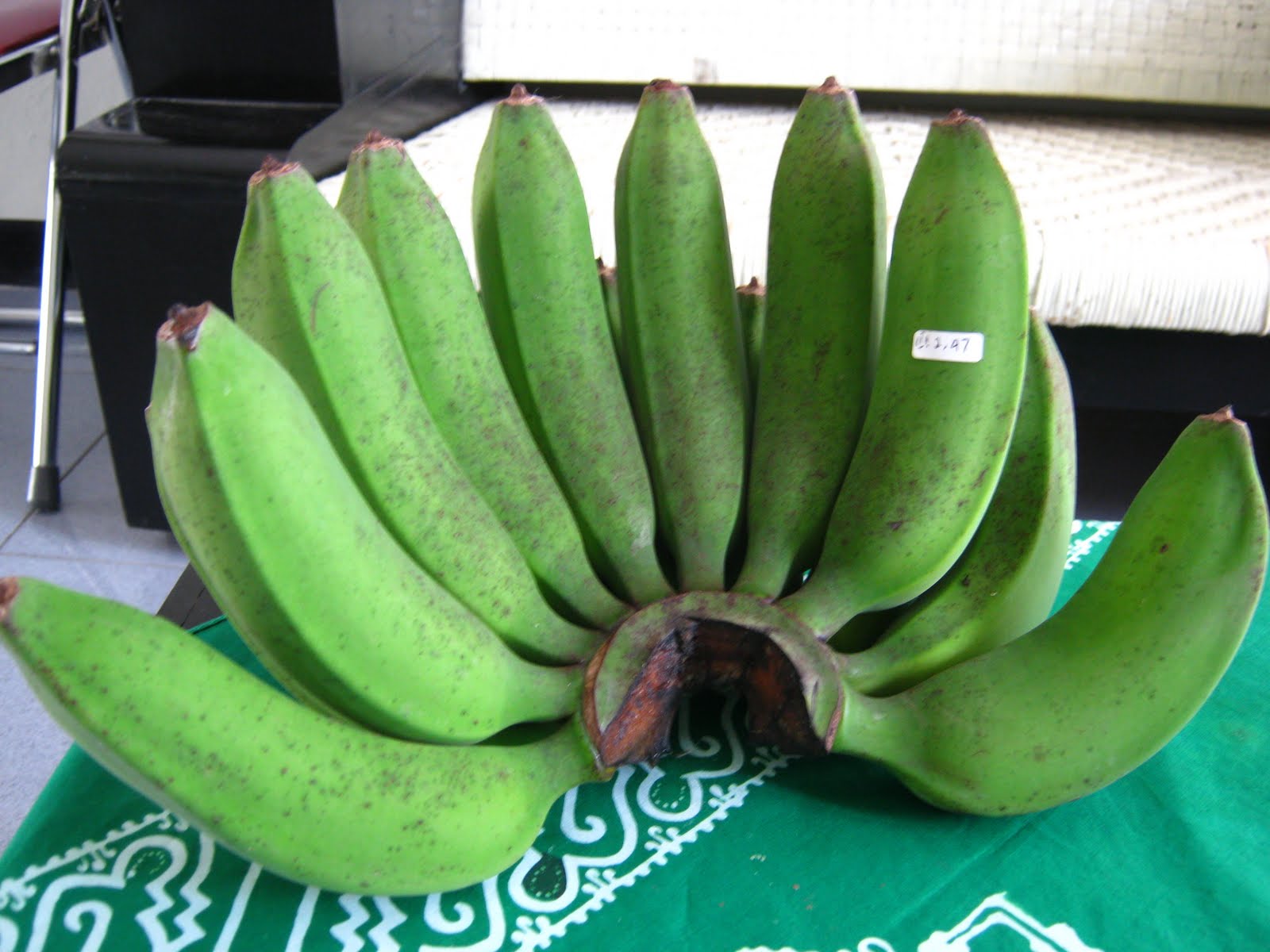 TISSUE CULTURE AND ORCHIDOLOGI: KUNJUNGAN KE KEBUN BENIH ...