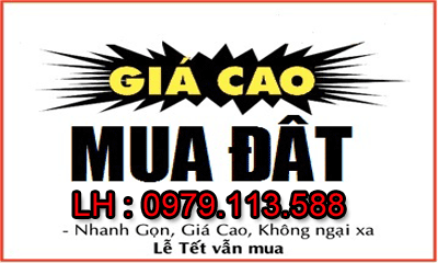Siêu thị nhà đất
