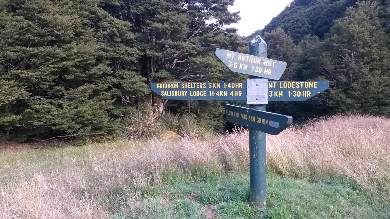 Biking and tramping trip blogs Barron Flats MTB