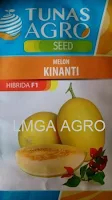 benih melon, kinanti, melon kinanti, melon kulit kuning, tunas agro seed, harga murah, grosir