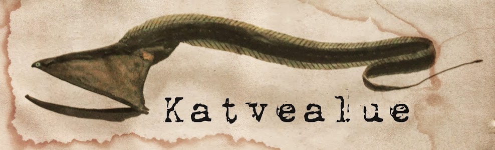 Katvealue