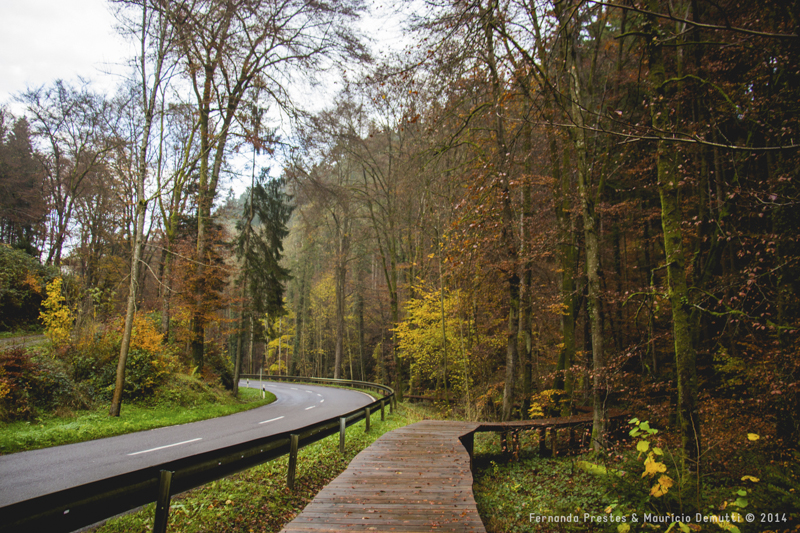 mullerthal trail Luxemburgo mullerthal trail Luxemburgo