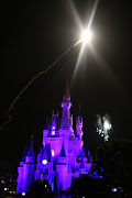 These are pictures of the disney castle. (img )