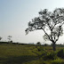 Mimpi