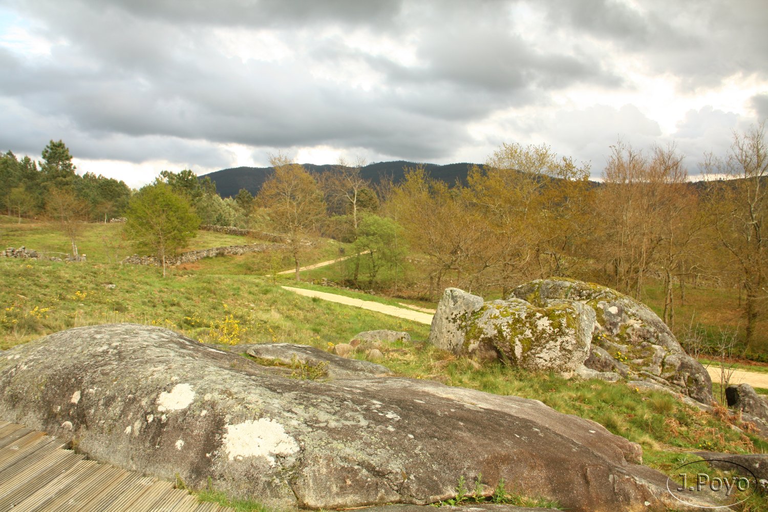 Petroglifos de Campo Lameiro