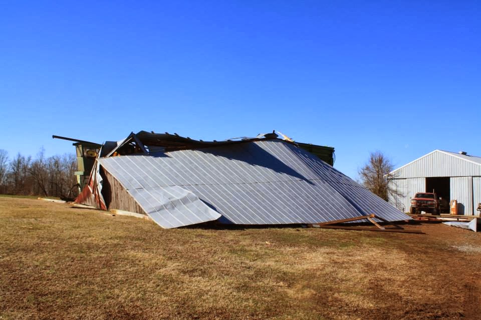 ELKMONT ALABAMA WHAT HAPPENING LAST NIGHT?