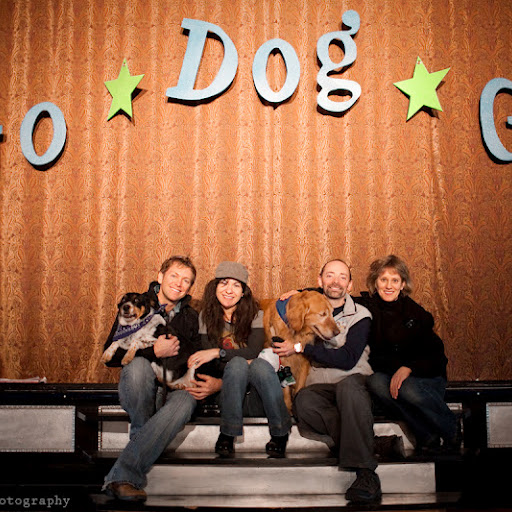 Οι σκύλοι στη Νέα Υόρκη έχουν την οργάνωσή τους...